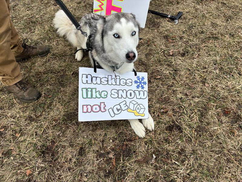 More than 600 people came out Sunday, Jan. 11, 2026, on Route 31 in McHenry for an anti-ICE protest, organized by Indivisible McHenry County. The national organization encouraged protests over the weekend on response to the death of Renee Good Wednesday in Minneapolis.