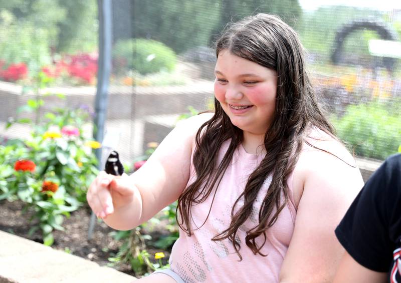 Maddie Bulak, 10, of Geneva watches as a butterfly lands on her finger at the Geneva Park District’s Peck Farm Butterfly House on Thursday, July 6, 2023.