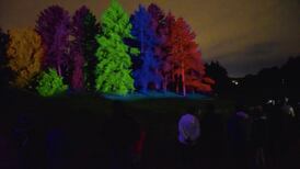 Morton Arboretum extends ‘Illumination’ to Jan. 8