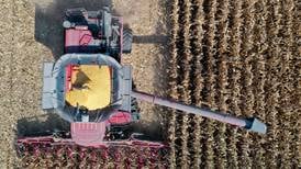La Salle County 2024 harvest report: Timely rains led to good yields
