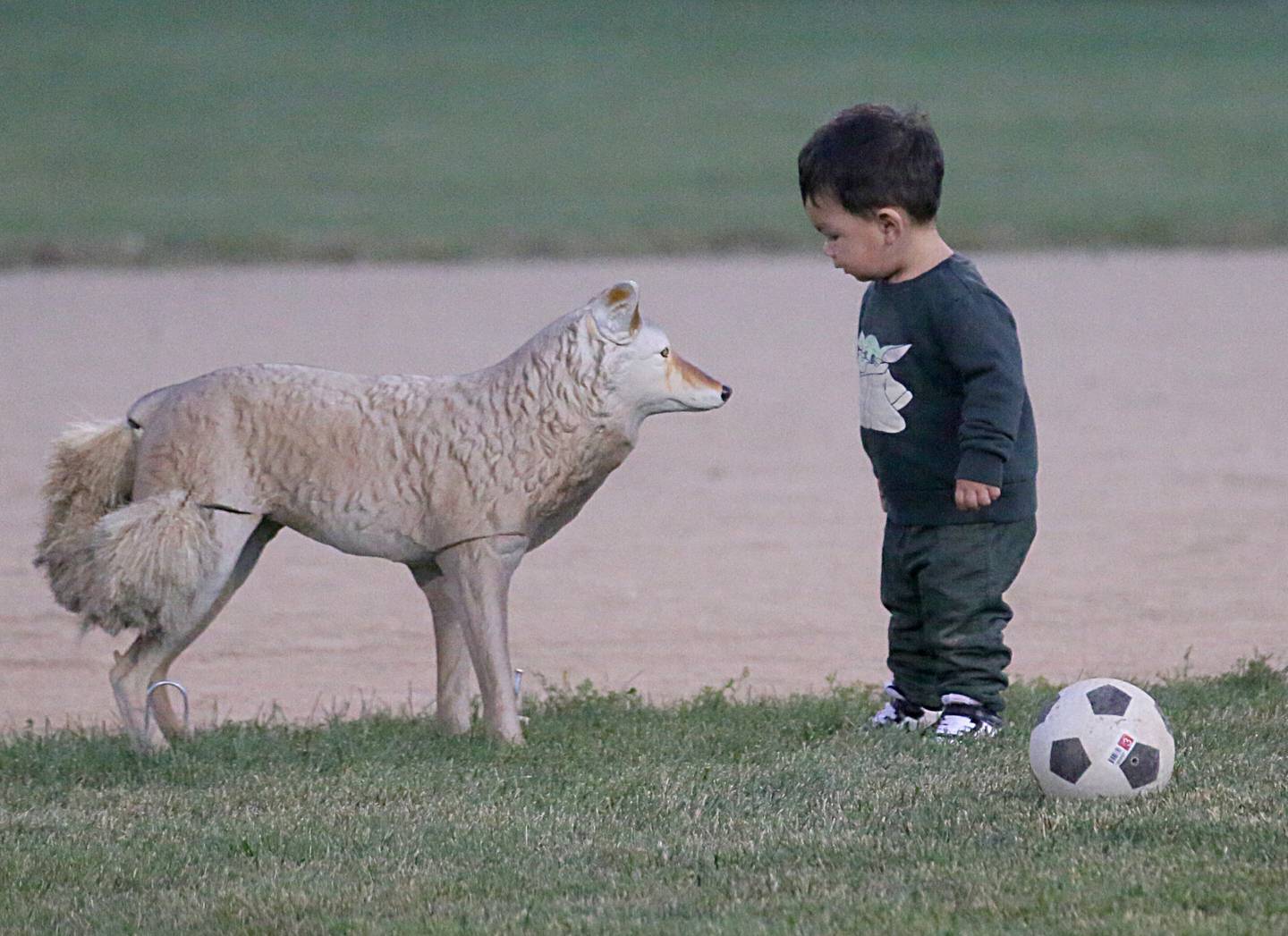 Diego Nanez 1, of Peru, stares at a fake coyote on the baseball diamond during the soccer game between L-P and Ottawa on Monday, Oct. 3, 2022 at Ottawa High School. The decoy was placed by the school to scare critters from coming onto the field.