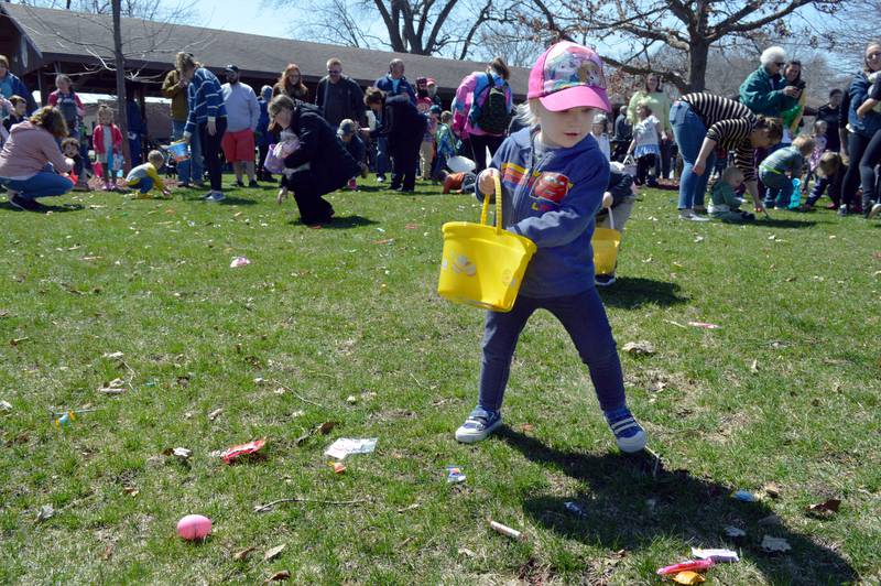 Annie Bolen, 2, of German Valley, puts candy in her bucket during an Easter egg hunt in Forreston's Memorial Park on April 8, 2023. The Forreston Lions Club and Forreston Area Business Association sponsored the annual Easter egg hunts and a Touch-A-Truck event.