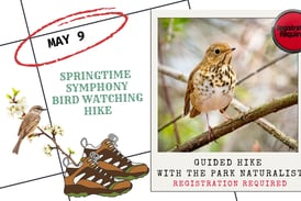 Enjoy a bird hike May 9 at Starved Rock State Park