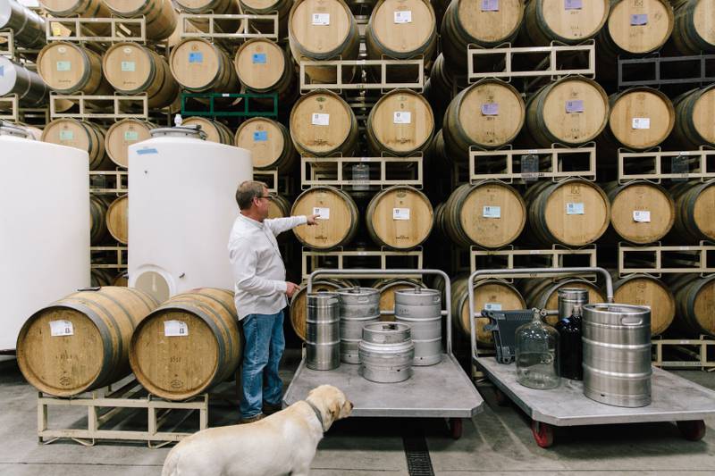 Kyle Lerner at Harney Lane Vineyards