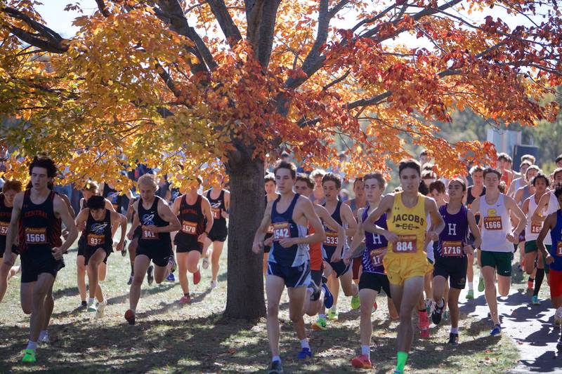 Varsity Boy's compete in the Fox Valley Conference meet on Saturday, Oct. 19,2024 at Hickory Nut Grove Preserve in Cary.