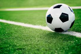 Bishop McNamara, Herscher advance to meet for regional title: Saturday’s Daily Journal Roundup