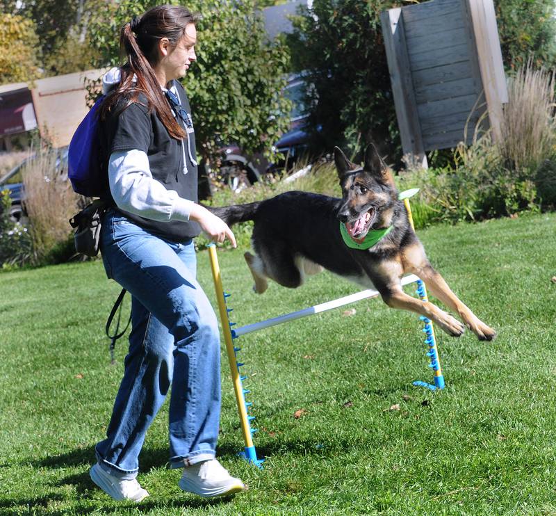 Photos Inaugural Barktoberfest held in Ottawa Shaw Local
