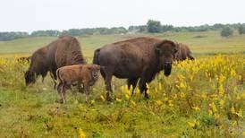 Photos: Autumn on the Prairie
