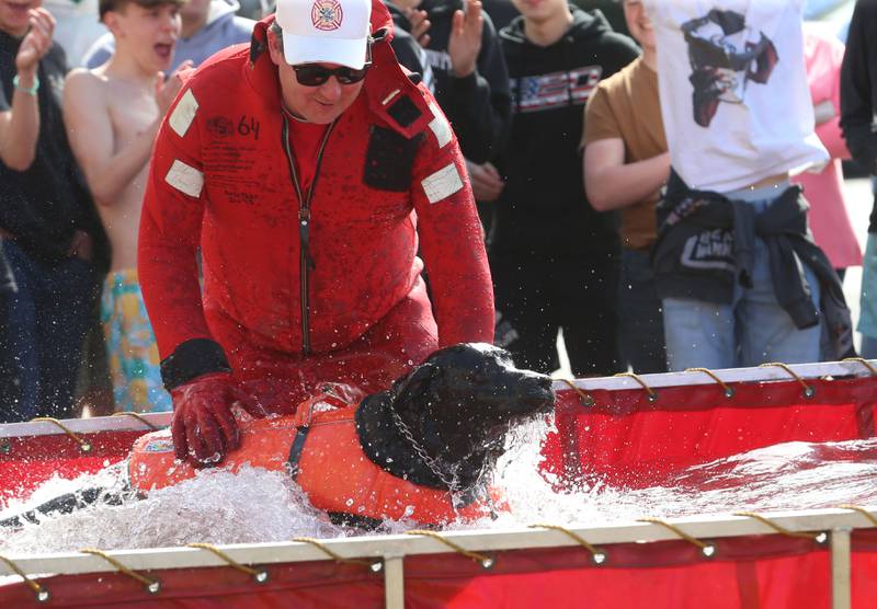 Putnam County School district therapy dog Rugby jumps into a water tank with the help of firefighter and paramedic Matt Gensini during the Polar Plunge to support Special Olympics on Friday, March 14, 2025 at Putnam County High School.