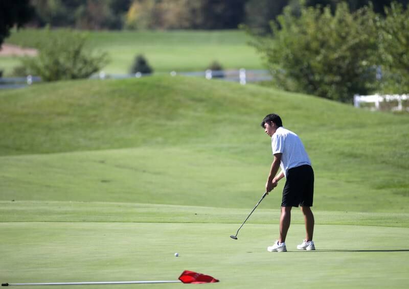 Neuqua Valley’s Emerson Zhang putts during the Class 3A Plainfield North Boys Golf Sectional at Whitetail Ridge Golf Course in Yorkville on Monday, Oct. 2, 2023.