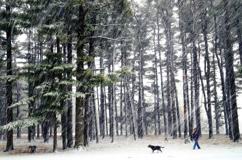 Snowflakes streak through Lowell Park March 2, 2012 as a man takes his dog for a walk.