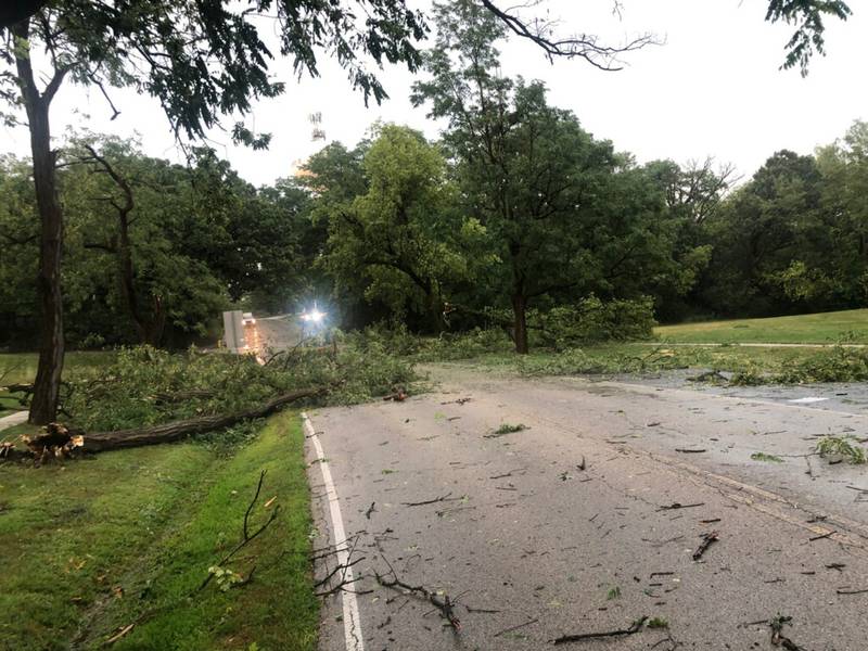Downed trees were caused by a thunderstorm Saturday in McHenry County