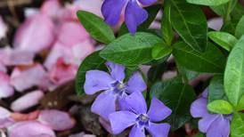 U of I Extension announces guided nature hike spring series