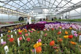 Polo Woman’s Garden Club plant sale is May 2