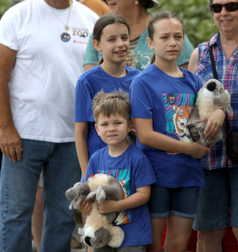 Kai Blaida, 4, Natalia Blaida, 11, and Alicja Blaida, 10, all of Aurora, wait in line to be some of the first to view Brumby and Willum, two male koalas who are now at home at the Brookfield Zoo’s Hamill Family Play Zoo on Tuesday, June 18, 2024.The koalas were born at the San Diego Zoo and brought to Brookfield Zoo June 10. Brumby and Willum are the first koalas to take residence at the Brookfield Zoo in its 90-year history.