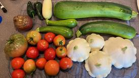 Learn about vegetable gardening June 6 at Granville library