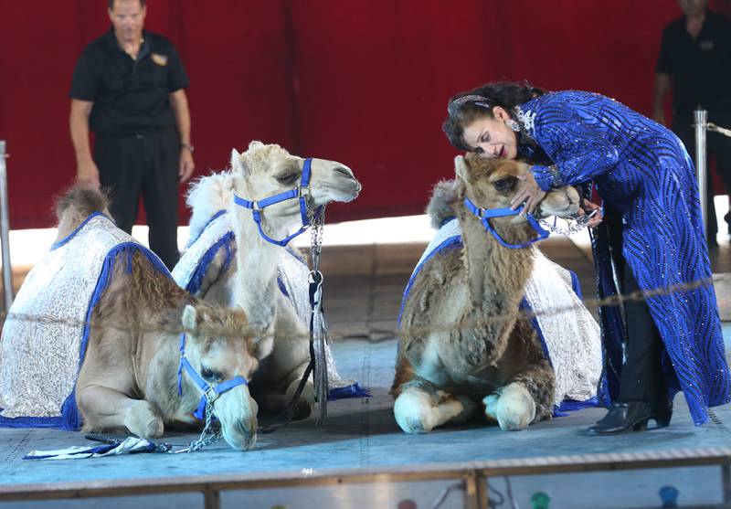 The Great Pages Circus performer Freita Pages, hugs a camel during her act on Monday, June 23, 2025 at the Bureau County Fairgrounds in Princeton. The Great Pages Circus is a family-friendly, traveling circus that blends traditional circus acts with a modern, energetic style.