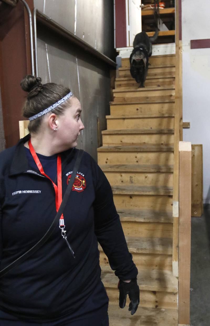 Wonder Lake firefighter and paramedic Ginelle Hennessey works with 7-month-old Jäger, a German shepherd getting trained as a search-and-rescue dog, Tuesday, Jan. 31, 2023, at Wonder Lake Fire Protection District Station 1, 4300 E. Wonder Lake Road in Wonder Lake. Once trained, the dog will be the first fire department search-and-rescue dog in McHenry County.