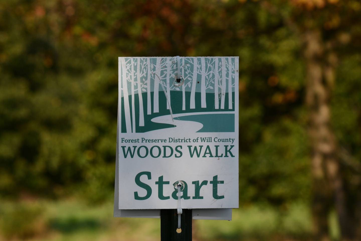 The annual Will County forest preserves Woods Walk is one of several initiatives supported by The Nature Foundation of Will County.