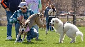 Pack up your pooch and explore these pet-friendly spaces