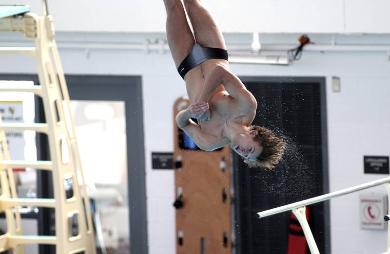 Riverside-Brookfield’s Harrison Nolan competes in the 1-meter diving during the IHSA Boys Swimming and Diving Championships at FMC Natatorium in Westmont on Saturday, Feb. 26. 2022.