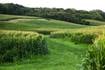 Farmers can now enroll in Grassland Conservation Reserve Program: FSA   