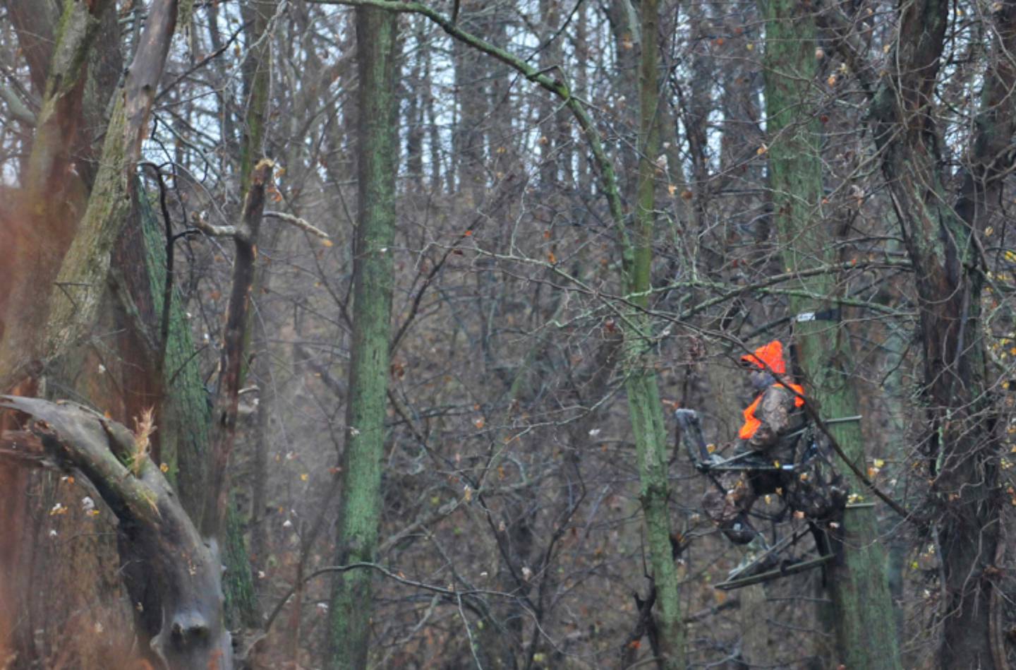 The 2025-2026 deer hunting season in the reduction zone started Sept. 15 and continues through Jan. 31.