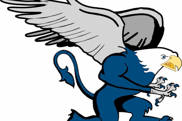 Lincoln-Way East girls water polo sees season end in supersectionals
