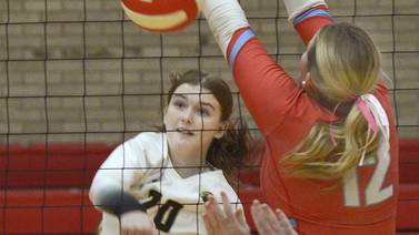 Sycamore tops Ottawa, stays in I-8 hunt