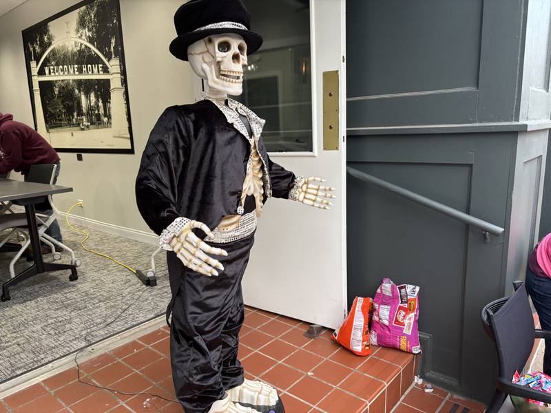 A skeleton on display at Berkshire Hathaway during Halloween on the Square in Woodstock Oct. 31, 2025.