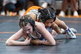 The Herald-News area girls state wrestling preview
