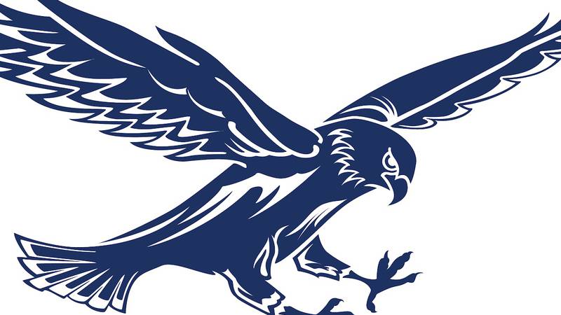 Hiawatha, Hinckley-Big Rock seasons end: Wednesday’s Daily Chronicle sports roundup