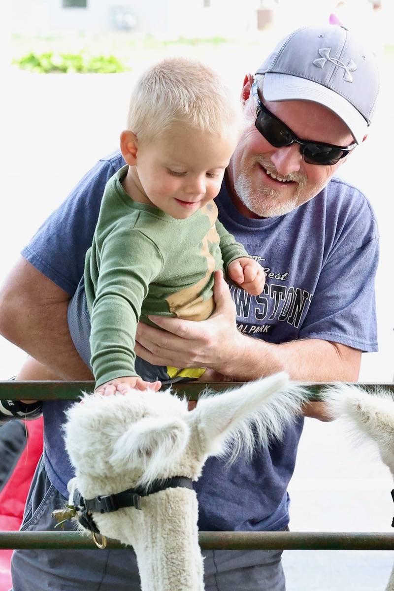 Cory Bickett and his grandson get up close with alpaca from Tiskilwa Farms Alpacas LLC during the Paws on Park Avenue parade hosted by Greenfield Retirement Home in Princeton on Saturday, May 31.