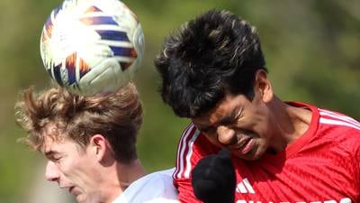 Photos: Dundee-Crown vs. St. Charles, IHSA Class 3A Regional Championship soccer