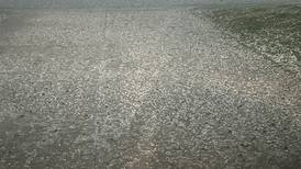 Tornado warning with hail issued for parts of Bureau, Henry counties 