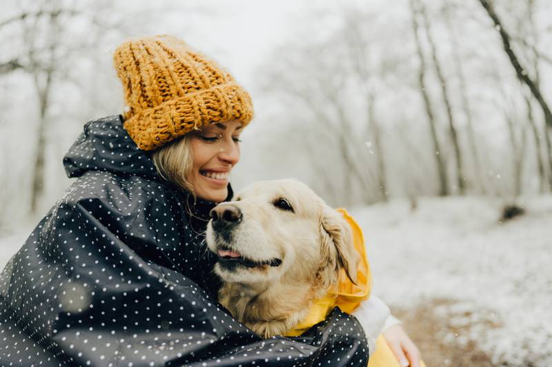 Cedar Lane Kennels - Winter paws safety tips for pet owners