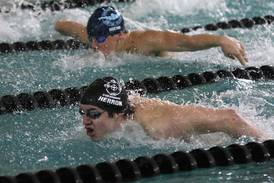 Photos: Fox Valley Conference Swimming Invitational