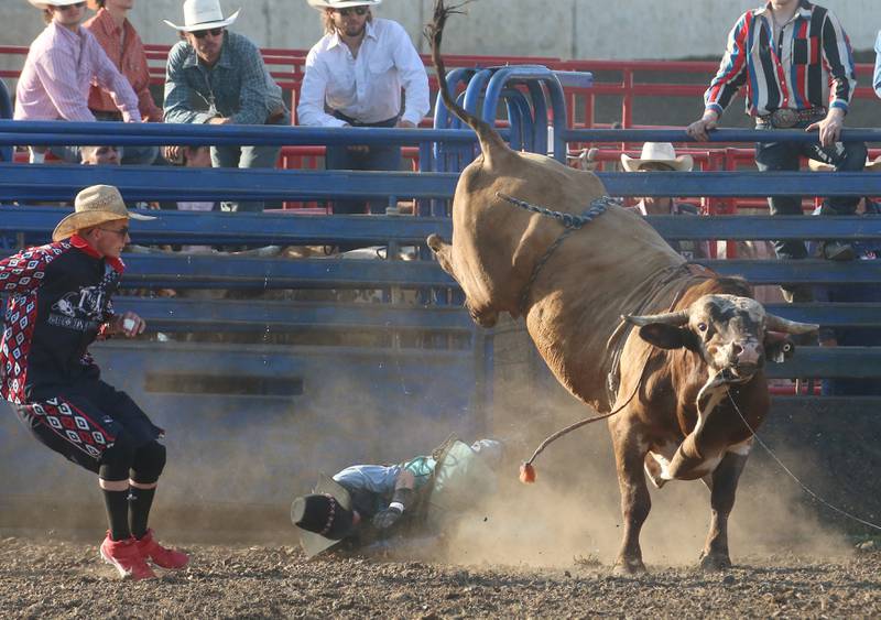 Brandon Stern of Wis., rolls in the dirt after falling off of a bull during the inaugural Starved Rock Rodeo on Saturday, June 21, 2025 at the La Salle Speedway.