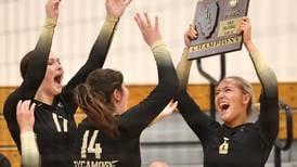 Photos: Sycamore, Dixon volleyball vie for Class 3A Rochelle Regional championship