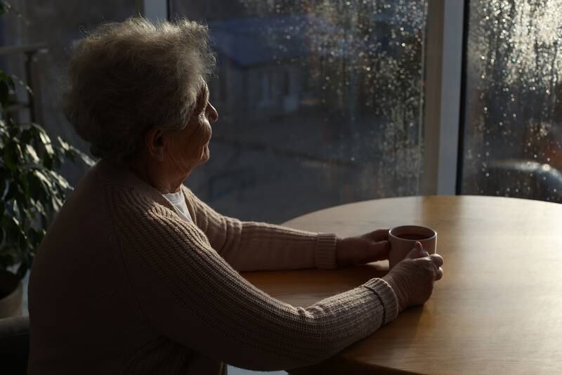 Elderwerks Educational Services - Navigating Seasonal Affective Disorder in Seniors