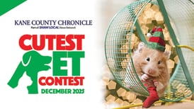 December Cutest Pet Contest