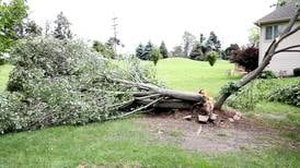 At least 11 tornadoes confirmed in northern Illinois in Wednesday’s storms: NWS