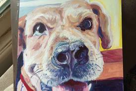 KVAL sets schedule for February events, including watercolors, how to paint pet portraits