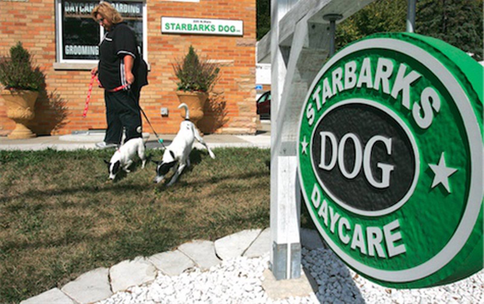 Starbucks barks at Algonquin dog day care Shaw Local