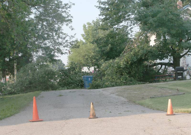 A down tree lays scross Park Avenue on Monday, June 17, 2024 in Dover.