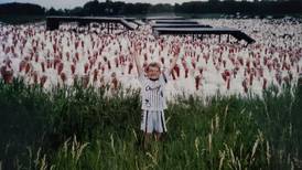A whole flock of them came over: Random turkey photo becomes Seneca man’s Thanksgiving tradition