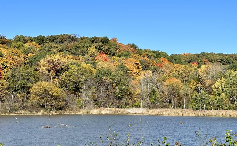 A view of marshland and fall colors along Route 29 just north of Putnam on Friday, Oct .20, 2023.