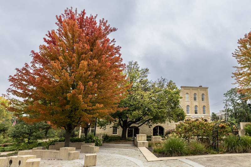 The Gaylord Building in Lockport is surrounded by fall colors, as pictured on Oct. 15, 2025.