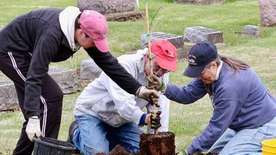 Princeton Tree Board leads volunteer event planting 100 trees