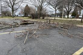 Storms left thousands without power in Will County, caused minor damage